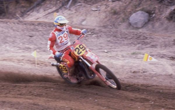 Tapani Pikkarainen Ruskeasanta 1980